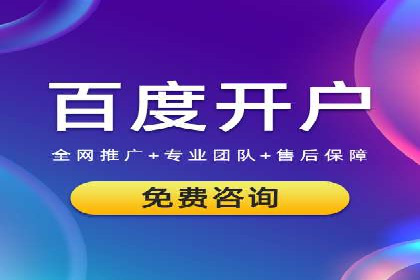 SEM托管公司案例：优化与增长